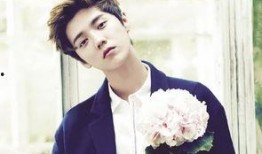 圈内爆料鹿晗王耀庆,神秘项目引热议